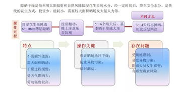 首屆花生生態峰會盛大召開，全方位解讀物業管理及配套服務新生態